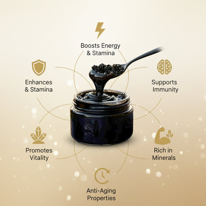 Pure Himalayan Shilajit (10 MG)